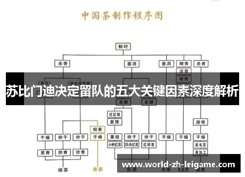 苏比门迪决定留队的五大关键因素深度解析