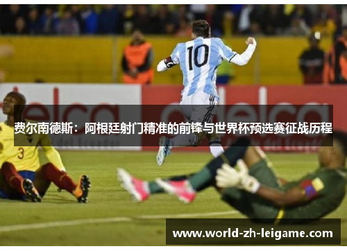 费尔南德斯：阿根廷射门精准的前锋与世界杯预选赛征战历程