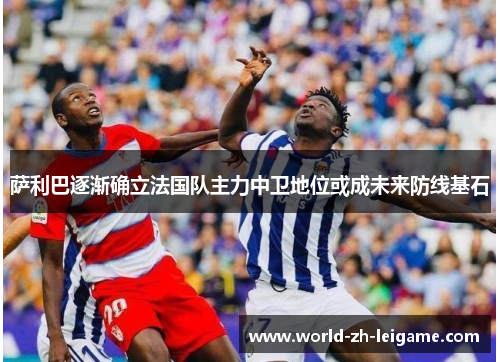 萨利巴逐渐确立法国队主力中卫地位或成未来防线基石