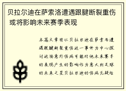 贝拉尔迪在萨索洛遭遇跟腱断裂重伤 或将影响未来赛季表现 贝拉尔迪在萨索洛遭遇跟腱断裂重伤 或将影响未来赛季表现